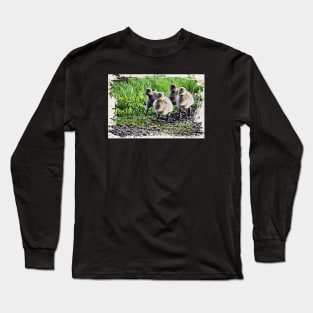 Chick on a hike Long Sleeve T-Shirt